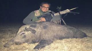 65 Creedmoor Hornady 160 RN Interlock Hog Hunt [upl. by Aylad]