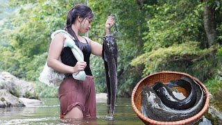 The simplest way to catch stream fish anyone can do it Fishing skills triệu lily [upl. by Annaitsirk]