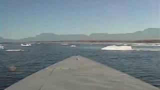 Bowhead Whales in Kugaaruk [upl. by Nelad307]