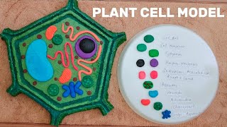 Easy way to make PLANT CELL hexagon shape model project using styrofoam amp clays for Science Activity [upl. by Grizel]