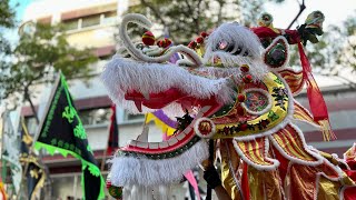 Honolulu Lunar New Year Parade amp Night in Chinatown 2024 Highlights [upl. by Selohcin]