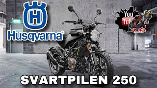 HUSQVARNA SVARTPILEN 250  2023  LA REINA DE LAS 250  WIN BIKER [upl. by Russom159]