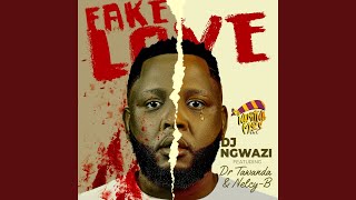 Fake Love feat Dr Tawanda amp NelcyB [upl. by Dahraf]