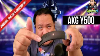 Unboxing and First Impressions Of The AKG Y500 Wireless On Ear Headphones [upl. by Rolanda]