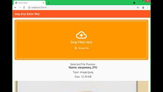 flutter web file chooser dragampDrop filepicker file chooser [upl. by Eserahc]