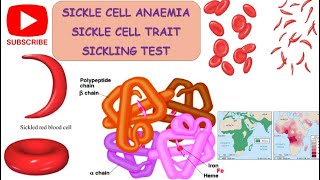 Sickle Cell Anaemia II Sickle Cell Trait II Sickling Test  pathogenesis ll barmansir [upl. by Stearns]