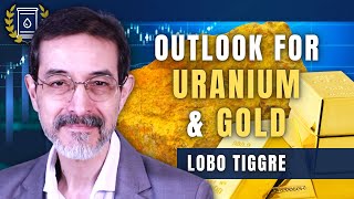 Uraniums Rise Matters and Why Im Still Holding Back on Gold Lobo Tiggre [upl. by Nanyt]