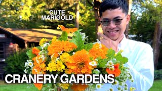 How to make a Cute Marigold Flower Arrangement Edible Cut Flowers [upl. by Zillah]