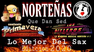 Conjunto Primavera Ft Rieleros Del Norte Mix Norteñas Que Dan Sed Edit 2020  Sax Pala Raza Vip [upl. by Nedyah]