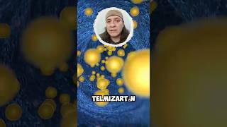 Telmisartan en el Bodybuilding parte 2 [upl. by Neelehtak]