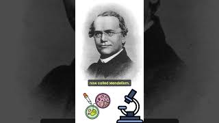 Unveiling Heredity Gregor Mendel’s Legacy genetics [upl. by Danielle]