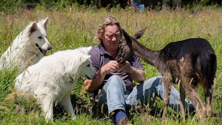 Fawn handreared by family  and becomes best friend to two dogs  SWNS [upl. by Sherar]