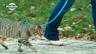 Harnais et laisse pour chat Easy Walk®de PetSafe® [upl. by Einahpts388]