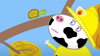 Naughty Tortoise  Peppa Pig  Kids Cartoon  Peppa Videos [upl. by Gnos]