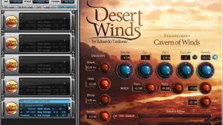 Best Service Desert Winds library review [upl. by Sorrows]