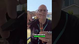 The Double V Cut Explained shortsyoutube youtubeshorts shorts cigars cigar shortsviral [upl. by Menken]