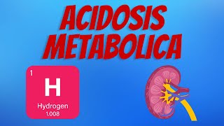 Acidosis Metabólica [upl. by Imogene]