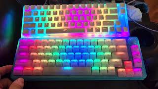 Womier k66 with Hyper X Pudding keycaps RGB vs Gamakay LK67 with Akko SA profile Clear keycaps RGB [upl. by Gav46]