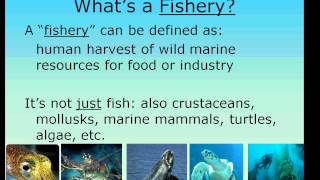 Fisheries Management Intro part 1 [upl. by Naval]