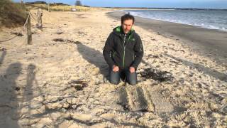 3 Minutes  Namib Dune Star Camp Namibia [upl. by Konikow190]