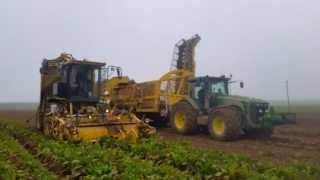 Transbordeur betteraves sugar beet cart BROCHARD [upl. by Buna]