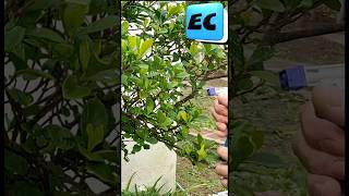 Repelente de plagas para el jardin con vinagre blanco diy juntamugrecesar tips espaciodecesar [upl. by Ahcila491]