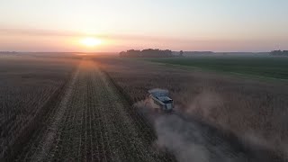 CLAAS Lexion 8600 Harvesting Corn in Mississippi [upl. by Maddeu457]