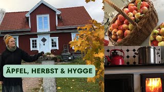 Unser Hof in Schweden  Ruhige und gemütliche Herbsttage im Waldhaus [upl. by Virnelli]