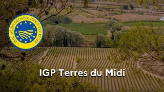 Les vins « Terres du Midi » reconnus en IGP [upl. by Nella659]