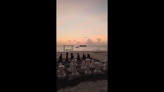 Coralarium at Fairmont Maldives [upl. by Surdna]