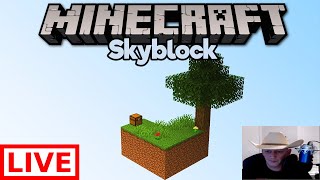 CubeCraft SkyBlock – Bane of Arthropods [upl. by Anivla155]