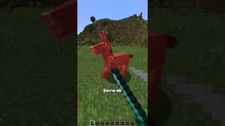 This Feature is Only In Minecraft POCKET EDITION [upl. by Armilla]