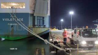 Timelapse of Dockworkers tying up container ship as it arrives  Auckland New Zealand [upl. by Madoc364]