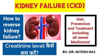 Creatinine कैसे कम करेंकिडनीkidney disease treatmentkidney failure treatment CKD drniteshraj [upl. by Jacquenette]