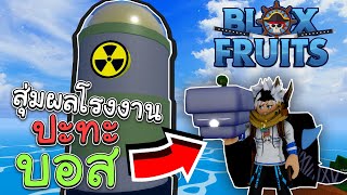 🔥สุ่มผลโรงงาน ปะทะบอสทั้งหมด Blox Fruits [upl. by Neitsirk366]