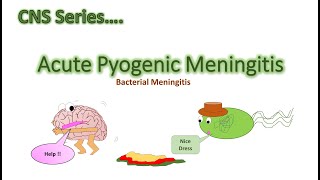 Meningitis  Acute Pyogenic Meningitis  CNS Series CH9 part 1 [upl. by Iew898]