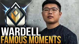 WARDELLS MOST FAMOUS MOMENTS  Valorant Montage 20202024 [upl. by Sisco]