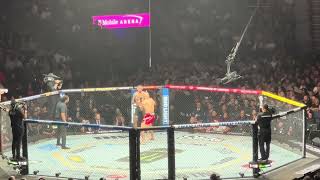 Jiří Procházka vs Aleksandar Rakić full fight ufc 300  Aleksandar Rakić vs Jiří Procházka ufc 300 [upl. by Tavie]