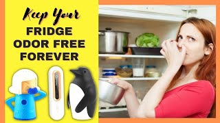 Best Refrigerator Odor Eliminator  Keep Your Fridge Odor Free Forever [upl. by Aihpos]