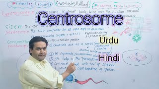 Centrioles  Centrosome  Class 11  Biology  Dr Mushtaq Lectures [upl. by Sandeep569]