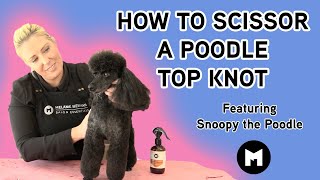 How to scissor a poodle top knot [upl. by Yeoj]