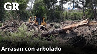 Arrasan con arbolado en el Río Santa Catarina  Monterrey [upl. by Inan]