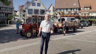 360 Grad  Impressionen vom Erlenbacher Weinfest  150824 [upl. by Ebberta]