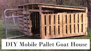 DIY Mobile Goat Shelter Out Of Pallets goats shed house diy [upl. by Yelkrab]