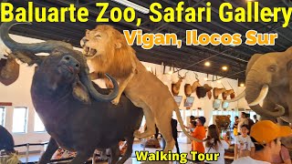 Baluarte Zoo Vigan Ilocos Sur Walking Tour BaguioBicol [upl. by Rowen]