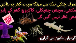 Get Rid Of Rats Mosquito Cockroach Lizard With homemade Spray l Powerful Insect Killer Remedy [upl. by Lashoh]