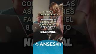 Anses confirmó fecha de pago del SUAF a PNC anses [upl. by Aldarcy638]