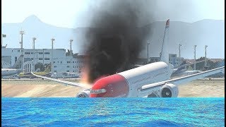 Norwegian Airlines B787 Emergency Landing Due To Bird Strike Airplane Crashes [upl. by Nabal]