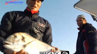 Tecnica di PESCA delle ORATE a BOLENTINO con Marco VOLPI  Peschiamo in barca con le canne  PescaTV [upl. by Macy533]