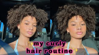 My 3c  4a Curly Hair Routine  grwm chit chat [upl. by Gadmon]